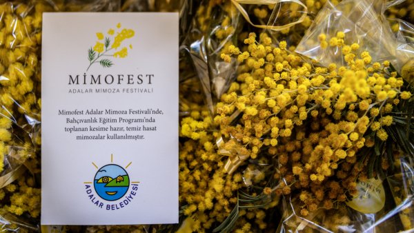 Adalar Belediyesi - Mimofest