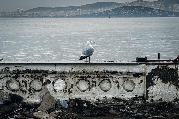 Yıkımların ardından sahil bandının son durumu - 23.01.2025