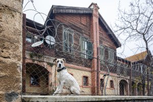 Büyükada Hristos Manastırı - 18 Ocak 2026